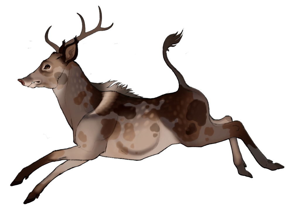 Shorthair Razorbuck