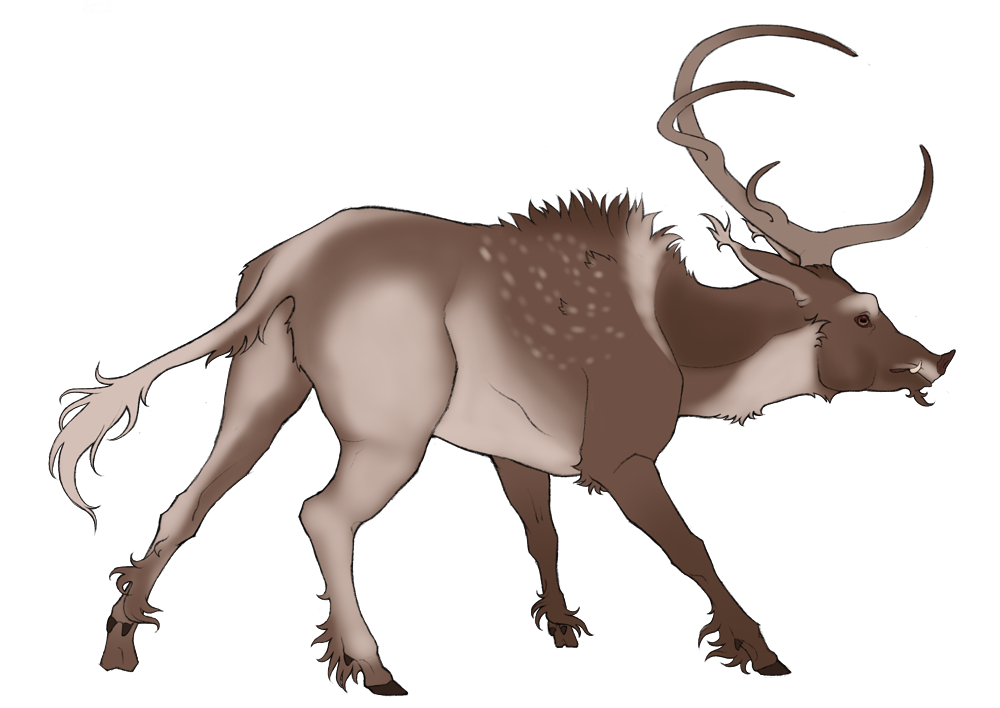 Wild Kingdom